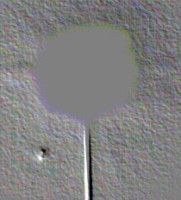 /album/galleria-foto-sfera-in-movimento/a1362760434052bhzsfera-g46ugxz09kk87-frammenta76gf2cx-jpg/